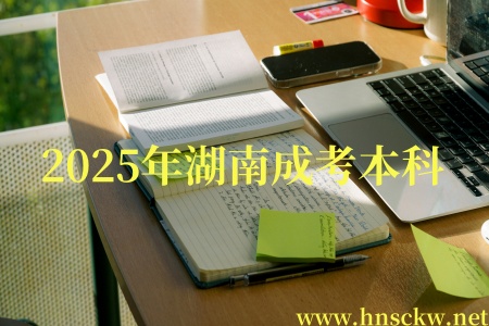 2025年湖南成考本科学位英语好过吗？
