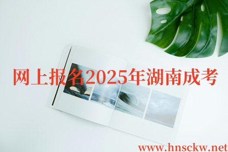 网上报名2025年湖南成考要怎么缴费？
