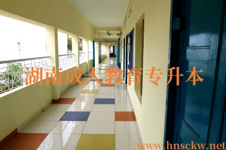 湖南成人教育专升本网上报名需要多少钱？