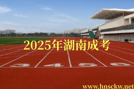 2025年湖南成考哪些专业好考公？