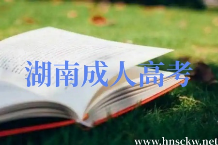 从考场到查分：一文读懂湖南成人高考的考试形式与成绩公布方式