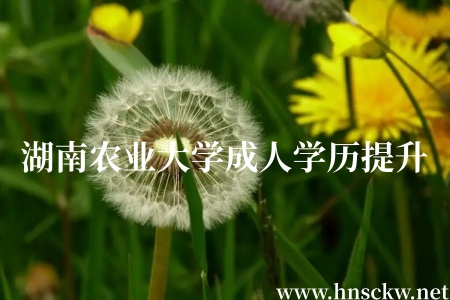 湖南农业大学成人学历提升新生入学学籍注册和资格审查政策